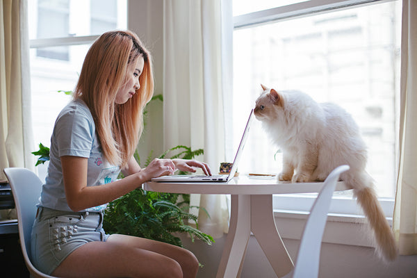 purr programming shirt